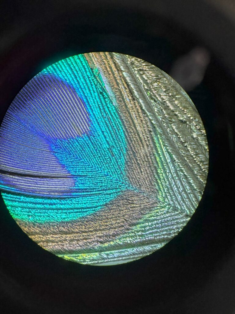 20241212_141645680_iOS